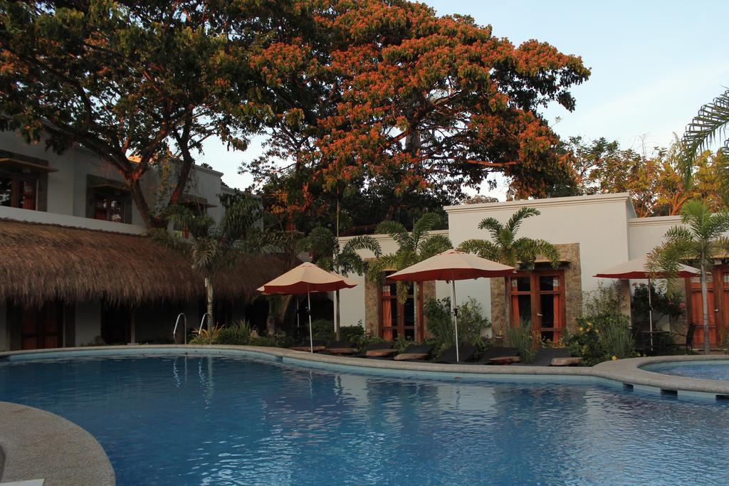 Acacia Tree Garden Hotel Puerto Princesa Zewnętrze zdjęcie