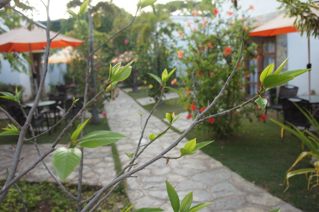 Acacia Tree Garden Hotel Puerto Princesa Zewnętrze zdjęcie